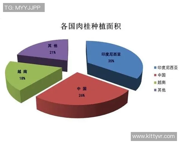 马来西亚与斐济足球赛前瞻及胜负预测分析全解读 马来西亚与斐济足球赛前瞻及胜负预测分析全解读