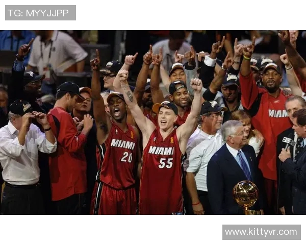 韦德领衔热火对决黄蜂季后赛精彩瞬间回顾与分析