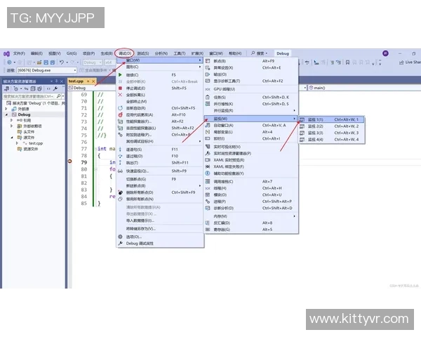 深入浅出掌握vs自拉放大技巧的全面教程与实用案例分析