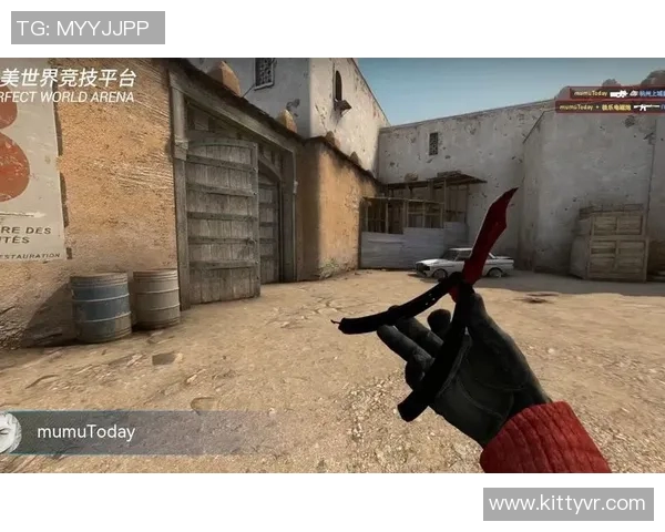 CSGO精彩解析：深入了解TES战队的战术配合与团队默契